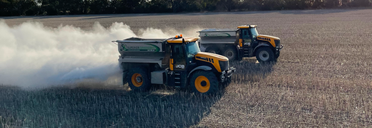 Pellentesque ipsum non gravida morbi gravida morbi